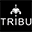 Boutique Tribu Icon