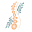 Back in a Flash Chiropractic & Massage Icon