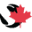 Sprintax Canada Icon