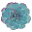 AV Sierra Dental Center Icon