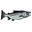 Seattle Fishing Company Icon