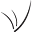 Winks Eyelash Boutique Icon