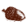 Acorn Naturalists Icon