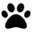 Pet Booth Icon