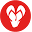 Havaianas NZ Icon