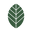 Mateina US Icon