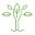 Qudriworld Icon