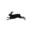 The Pepin Press Icon