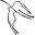 Dr. Sofer Icon