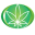 The CBD Flower Shop Icon