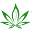 CBD Healing Store Icon