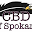 CBD of Spokane Icon