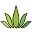 Tamarack Cannabis Icon