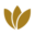 Golden CBD Plus Icon