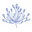 Agapanthus Icon