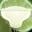 Margarita Man Icon