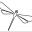 Dragonfly FR Icon