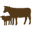 Foxhollow Farm Icon