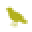 Pious Bird Icon