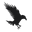Lone Crow Ranch Icon