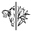 Birdwood Beef Icon