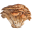 Mushrooms For Life Icon