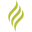 Witham's Coffee Icon