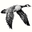 Forbes Wild Foods Icon