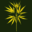 Hempura Icon