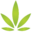 Canna Wholesalers Icon