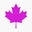 LocalBoom Icon