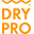 Dry Pro by Dry Corp Icon