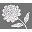 Peony Icon