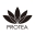 PROTEA HAIR Icon