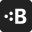 Braintrust Data Icon