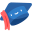 Domyhomework.online Icon