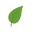 Naturelink Icon