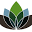 Lotus Hair Spa Icon
