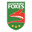 Leicestershire County Cricket Club Icon