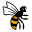 Wasps Icon