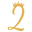 Dress2impress.com Icon