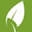 The Ultimate Green Store Icon