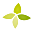 Luckyscent Icon