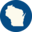 Tammybaldwin Icon