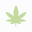 CLRTY Icon