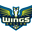 Dallas Wings Icon
