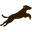 Maximum K9 Services Icon