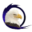 Direct Express Icon