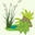 Plant Delights Nursery Icon