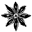 Sacred Seeds Icon